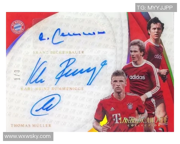 帕尼尼12-13赛季足球球星卡：珍贵收藏，完美展示足球之美